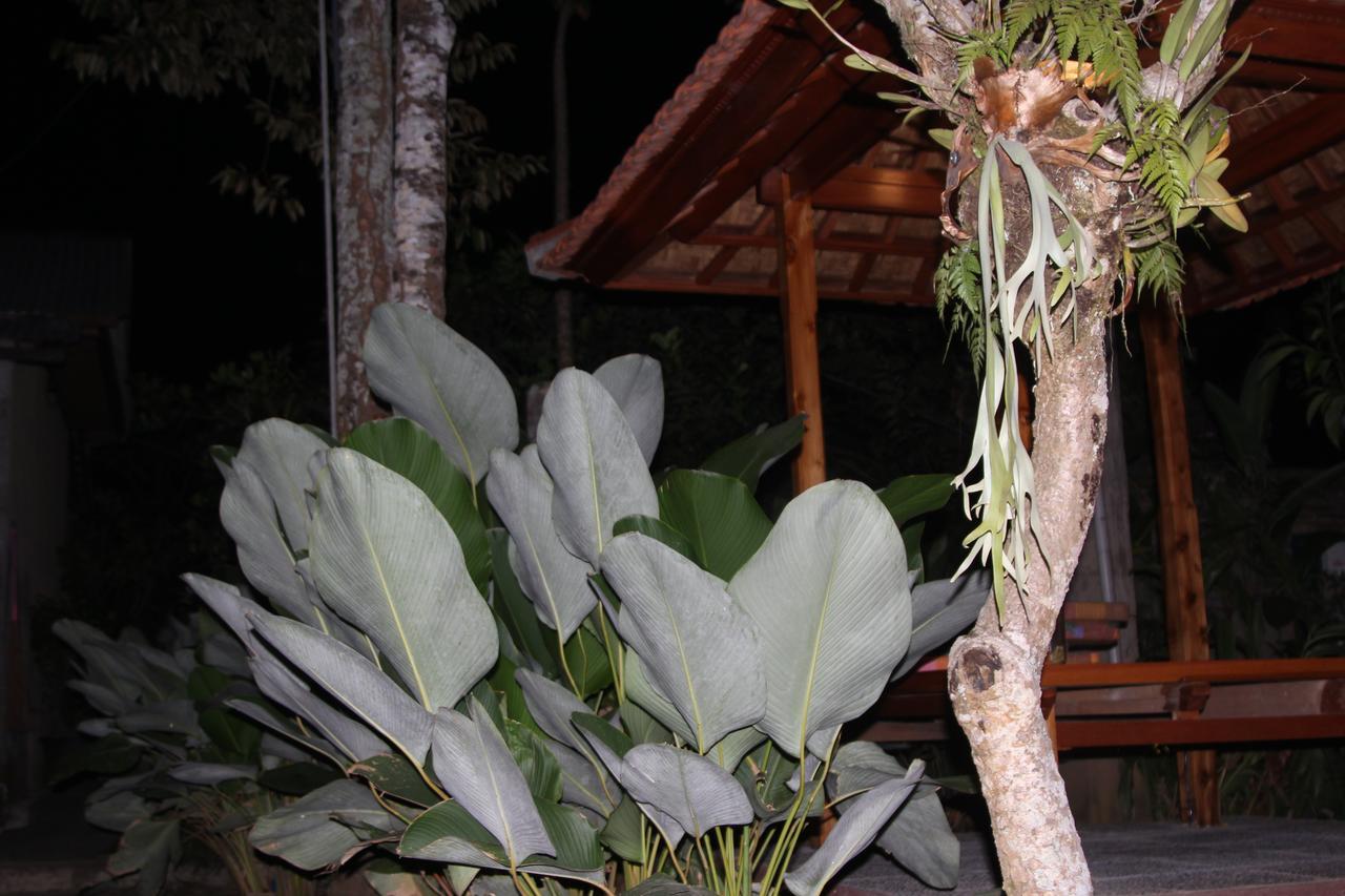Jerogadung House Hotel Ubud  Exterior photo